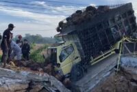 Rute Menuju IKN di Penajam Paser Utara Terhambat, Sistem Buka-Tutup Diberlakukan
