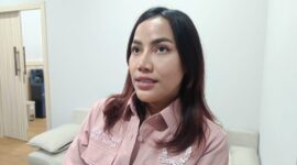 Wakil Ketua DPRD Kota Samarinda, Celni Pita Sari