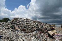 PLTSa Samarinda Butuh 1.000 Ton Sampah per Hari, Lokasi Jadi Sorotan
